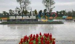 十洲公园爆料视频最新,揭秘公园神秘角落与不为人知的秘密